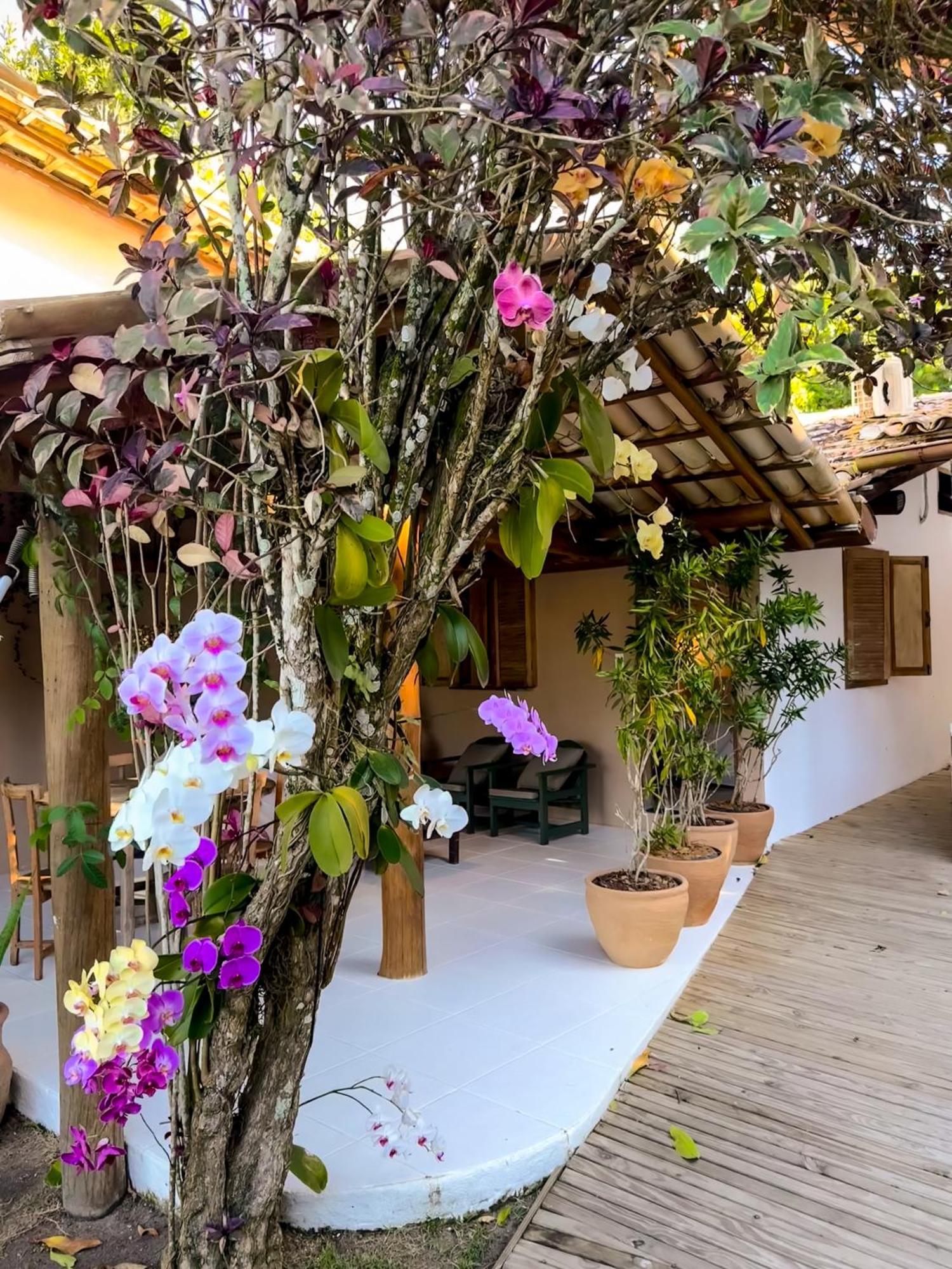Casa Rabanete 3*